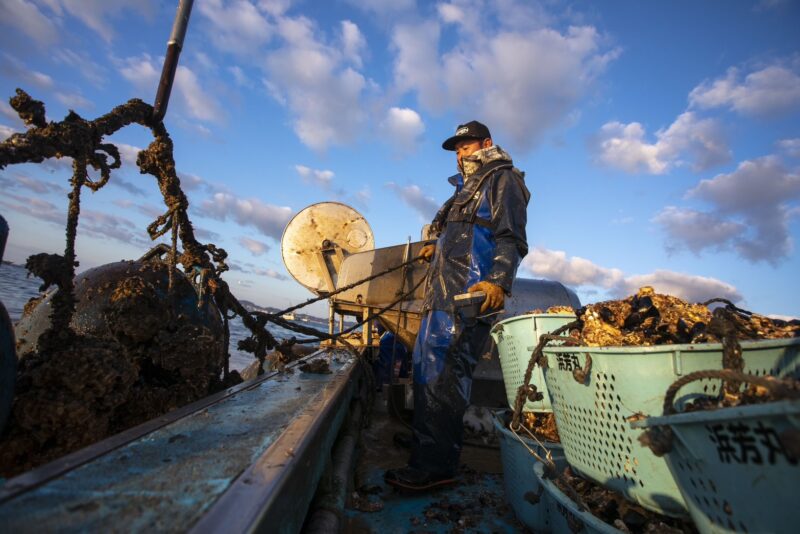 奥松島の美しく豊かな海の恵み「浜義丸水産」